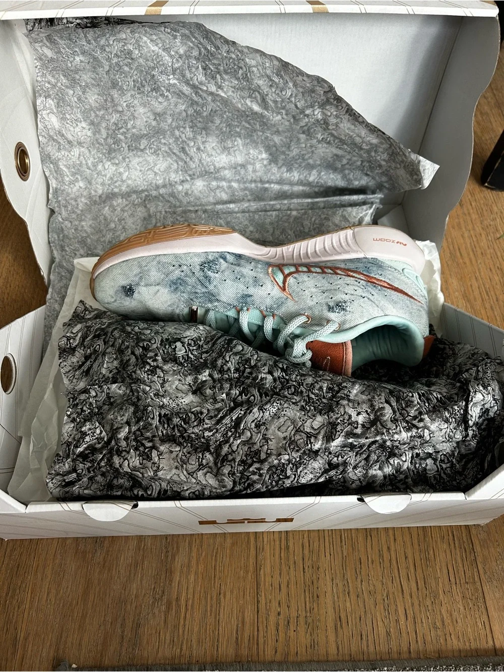 Nike LeBron XXI Aragonite - Men’s